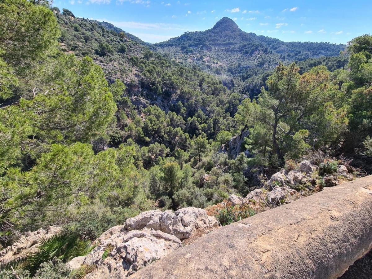 Wunderschoene Ruhige Finca Mit Pool In Galilea Galilea  Exterior foto