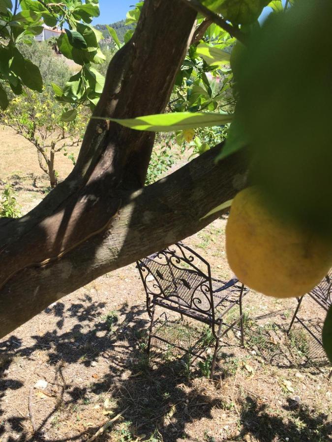 Wunderschoene Ruhige Finca Mit Pool In Galilea Galilea  Exterior foto